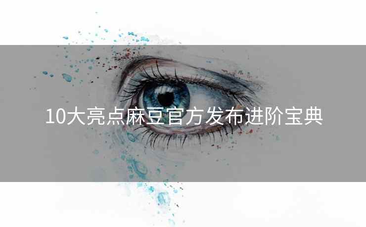 10大亮点麻豆官方发布进阶宝典