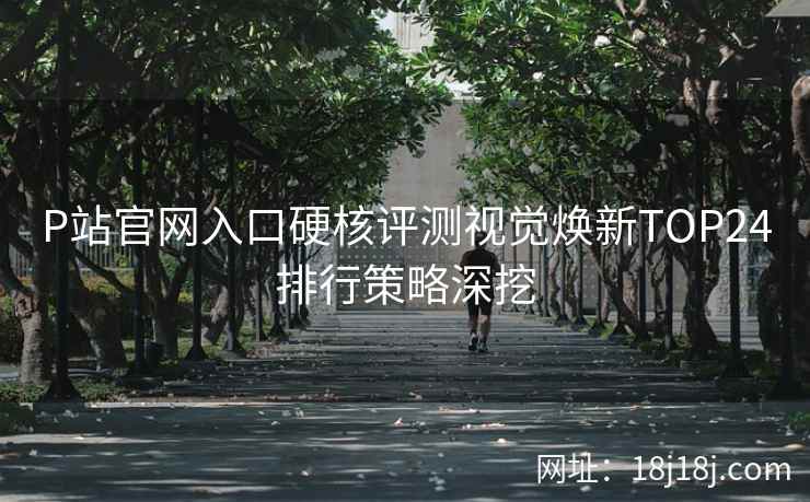 P站官网入口硬核评测视觉焕新TOP24排行策略深挖