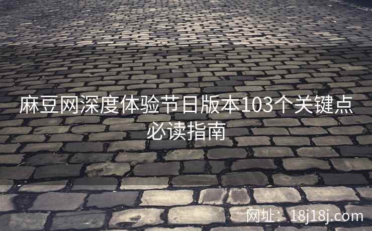 麻豆网深度体验节日版本103个关键点必读指南