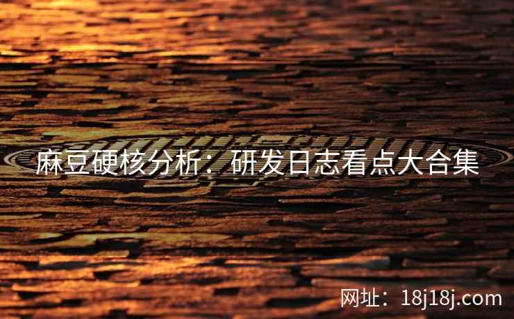 麻豆硬核分析：研发日志看点大合集