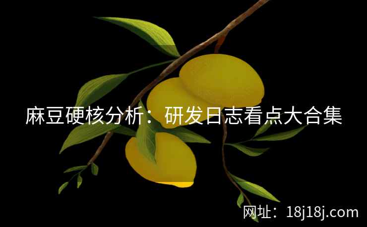 麻豆硬核分析：研发日志看点大合集