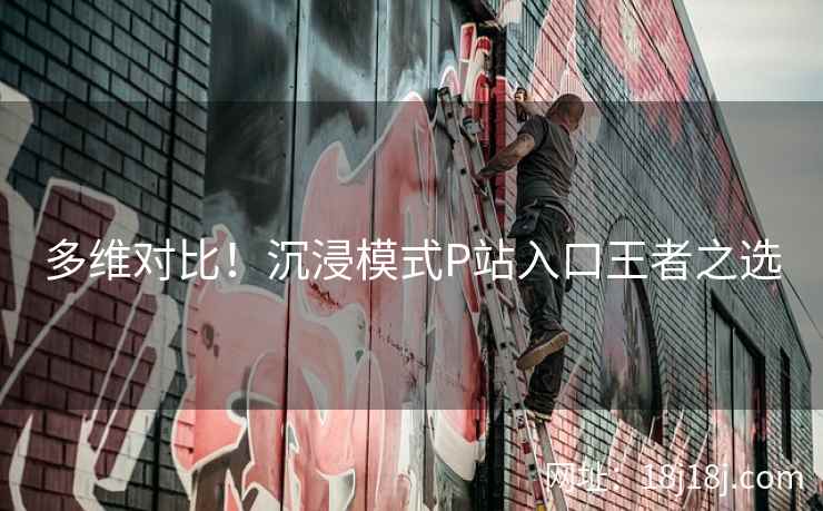 多维对比！沉浸模式P站入口王者之选