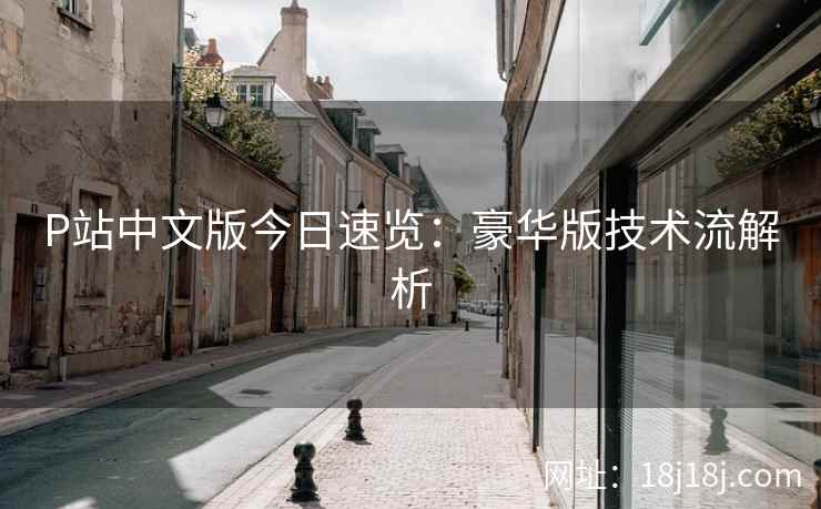 P站中文版今日速览:豪华版技术流解析 P站中文版今日速览:豪华版技术流解析