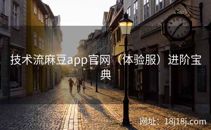 技术流麻豆app官网（体验服）进阶宝典