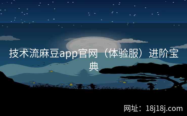 技术流麻豆app官网（体验服）进阶宝典