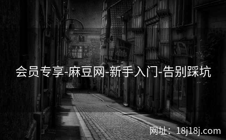 会员专享-麻豆网-新手入门-告别踩坑