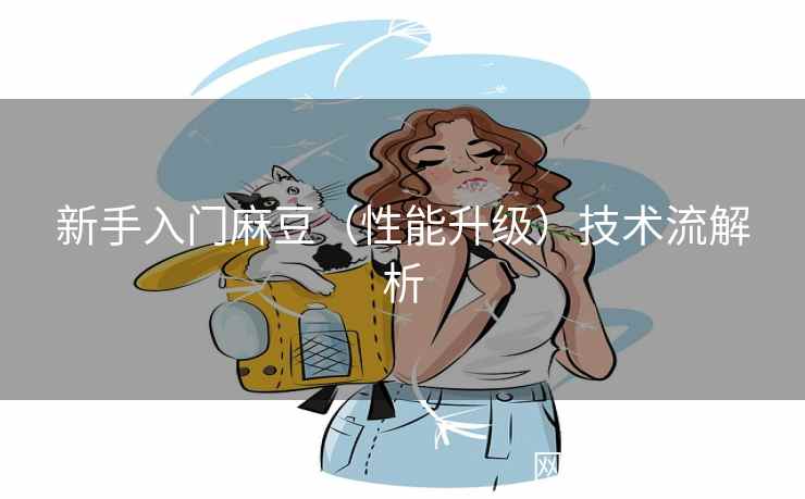 新手入门麻豆(性能升级)技术流解析 新手入门麻豆(性能升级)技术流解析