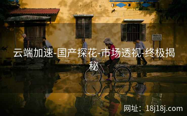 云端加速-国产探花-市场透视-终极揭秘 云端加速-国产探花-市场透视-终极揭秘