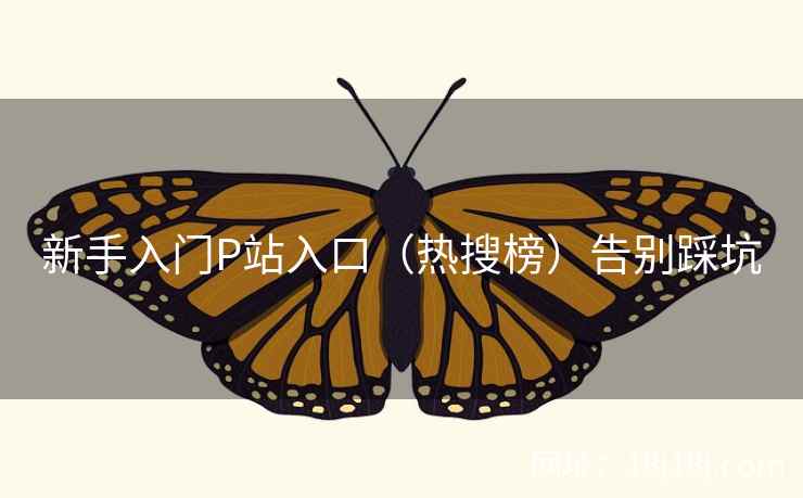 新手入门P站入口（热搜榜）告别踩坑