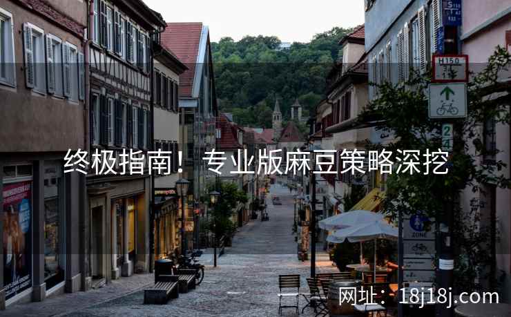 终极指南！专业版麻豆策略深挖