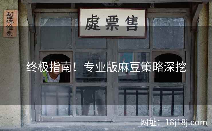 终极指南！专业版麻豆策略深挖