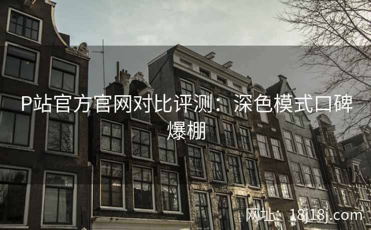 P站官方官网对比评测：深色模式口碑爆棚