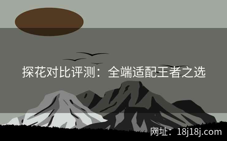 探花对比评测：全端适配王者之选