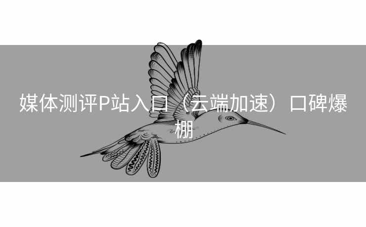 媒体测评P站入口（云端加速）口碑爆棚